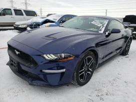 Ford Mustang Wiber whatsapp daliu siuntimas i kitus miestus