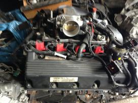 Ford Mustang, V8, Plikas variklis mustang 4 6 viber whatsapp 37066686665