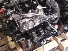 Peugeot 308, HN02, Variklis beges 60000km automatine pavaru deze