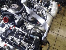 Audi Q7, CAS, Variklis beges 120000km