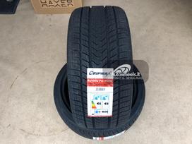 Gripmax SureGrip Pro Winter, зимние 255/35 R19