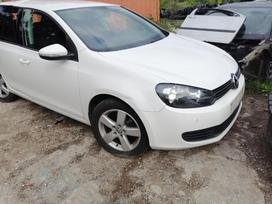 Volkswagen Golf Dalimis