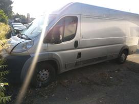 Fiat Ducato, cargo vans