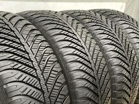 Goodyear Vector 4seasons, universalios 205/55 R16