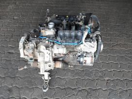 Fiat 500 Variklis 1 2b 169a4000