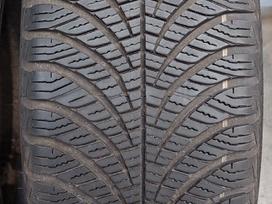 Goodyear, universalios 205/55 R17