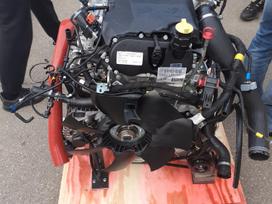 Iveco Daily, other