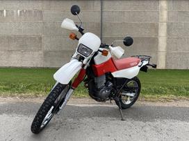 Yamaha XT (Tenere) 595cc, enduro / adventure