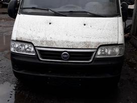 Fiat Ducato Dalimis