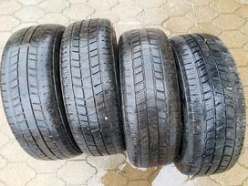 Federal, žieminės 205/65 R16