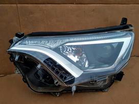 Toyota RAV4, 52127-42160, žibintas halogenas 17876 od 103l posparnis 53876 42080 53