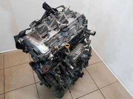 Toyota Avensis Variklio kodas 2ad fhv