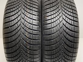 Goodyear Vector4Seasons 2023m, universalios 195/55 R16
