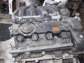 BMW 116 Variklio kodas n45b16a