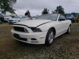 Ford Mustang по частям. Lt adresas vilnius prašiškių g 53 7а angaras