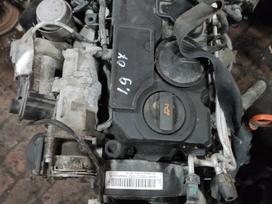 Volkswagen Touran Tik variklis ir dėžė