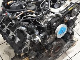Audi Q5, CCW, Sveikas variklis beges 120000km turime ir dalimis pavarų dė
