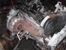 Volkswagen Polo variklio detalės