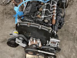 Ford Transit, cargo vans