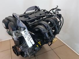Ford Fiesta Variklio kodas snjb