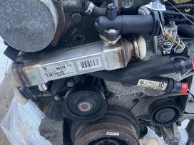 Bmw X5, m57 306d3, Bmw x5 variklis m57 306d3