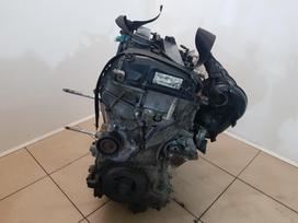Ford Mondeo Variklio kodas tbba