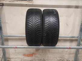 Falken EUROALL SEASON AS210, vissezonas 215/45 R16