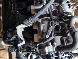 Volkswagen Golf, Chpa, engine