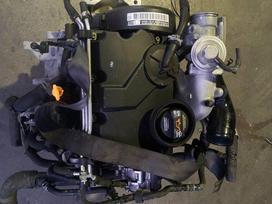 Seat Ibiza, BNV ; AMF, по частям. Variklio kodai bnv amf