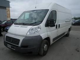 Fiat Ducato, грузовые микроавтобусы