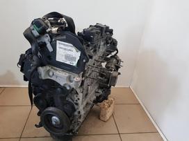 Peugeot 308 Variklio kodas bh01 10jbhd