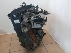 Ford C-MAX Variklio kodas txdb