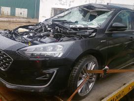 Ford Focus Dalimis