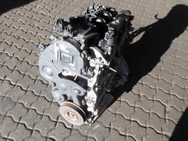Ford Focus Variklis 1 6tdci g8dd