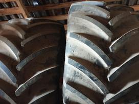 Goodyear