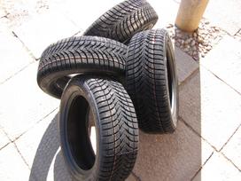 Agi ALPIN MASTER 4 TECHNIC, winter 205/55 R16