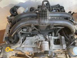 Subaru Outback, FB25, engine
