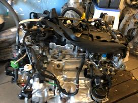 Renault Master Bi turbo vienos turbo