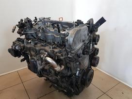 Honda Accord Variklio kodas n22b1