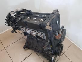Hyundai Accent Variklio kodas g4ed
