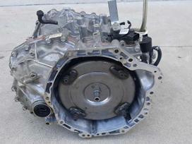 Nissan X-Trail, 3wx1b   3wx4b  JF017, Jf017 automatinės pavarų dėžės 3wx1b 3wx4b nissan
