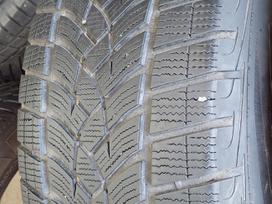 Goodyear, ziemas 255/50 R19