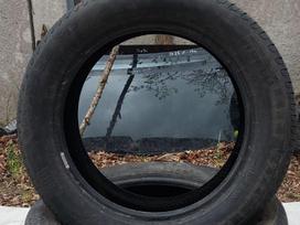 Pirelli, vasaras 215/55 R17