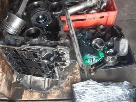 Ford Transit, 10trj1, Yra daugiau ardomu auto ir varikliu galimas pristatymas