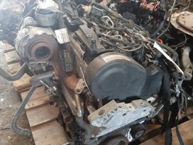 Volkswagen Passat, Cff, Tkrintas variklis rida 96000km trubina kuro sistema sankobos