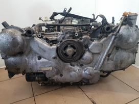 Subaru Legacy Variklio kodas ez30