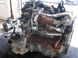 Mercedes-Benz Citan Variklio kodas k9k b608
