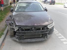 Volkswagen Passat dalimis