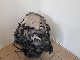 Volvo S80 Variklio kodas b8444s