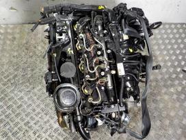 BMW 320, N47 D20C, for parts. N47 d20c 130 kw